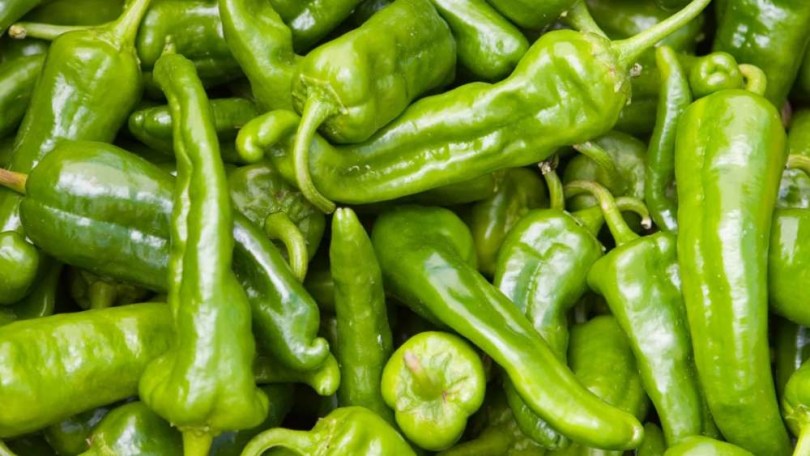 Friggitello paprika - édespaprika
